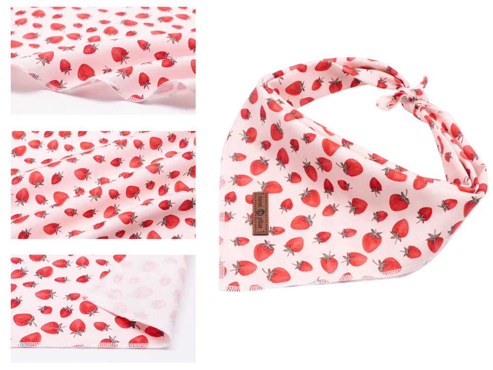Chien avec bandana Lionet Paws rose lors d'une fête.
