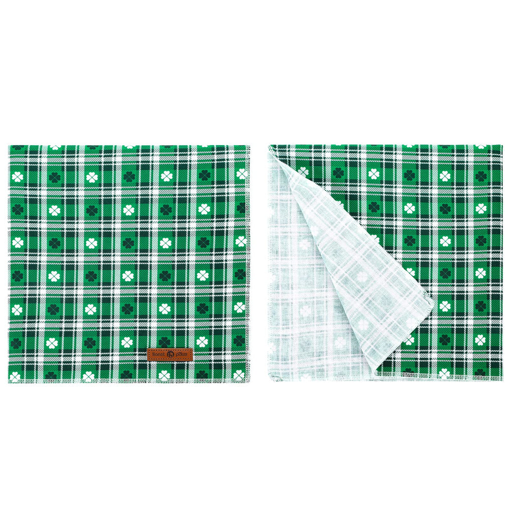 Bandana Saint-Patrick Lionet Paws sur chat, ajout de charme festif.