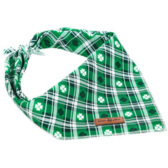 Bandana Saint-Patrick Lionet Paws sur chien porté, style festif et mignon.