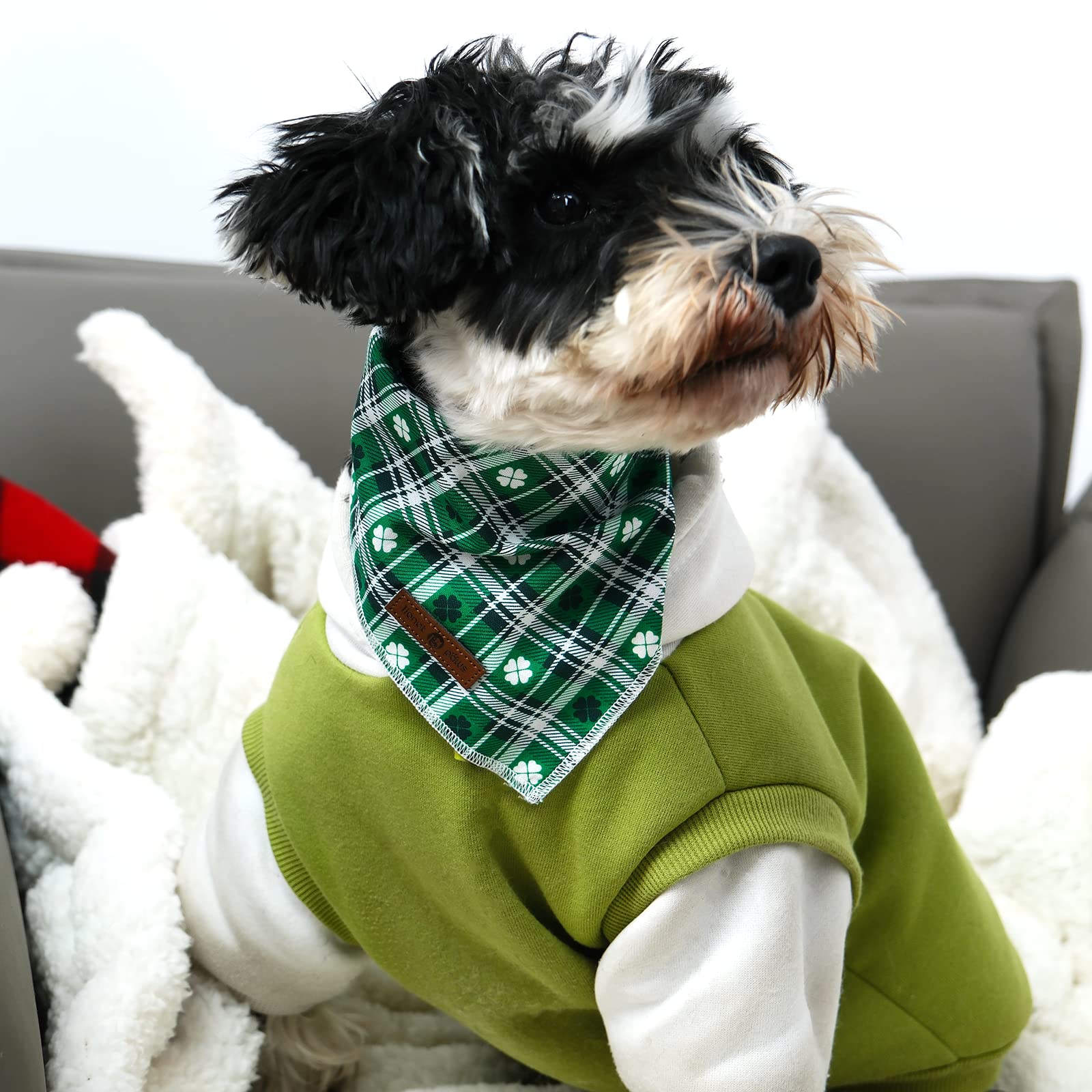 Bandana Lionet Paws taille S adaptée aux petits chiens et chats.