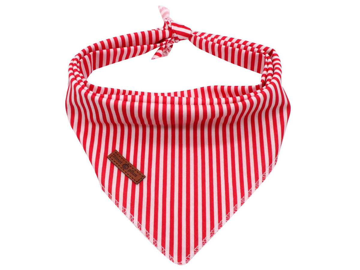 Bandana Lionet Paws triangle pour chat et chien, motif fetes, prêt pour les photos.