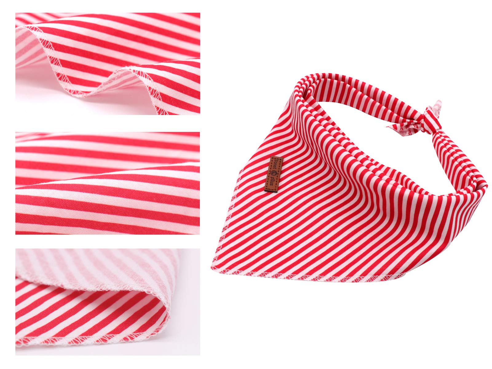 Pose active Lionet Paws bandana triangle, facile a attacher.