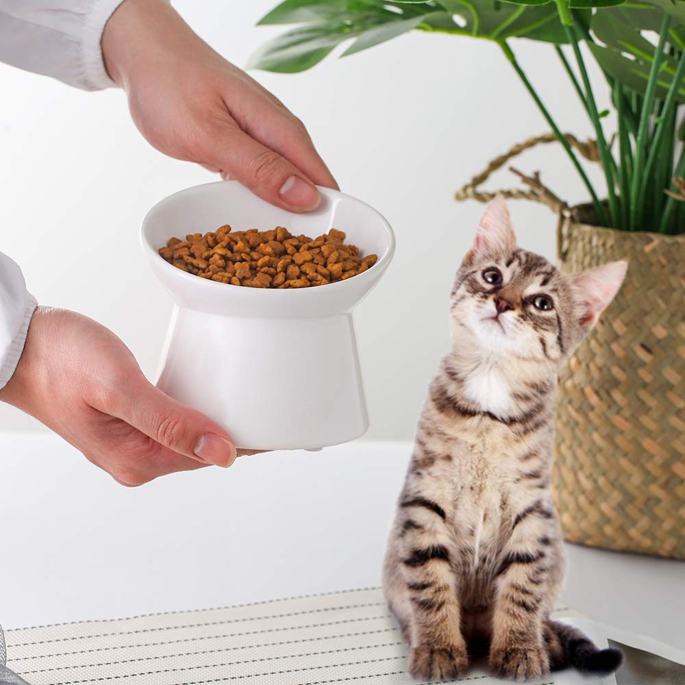 Base lourde et stable LIONWEI LIONWELI évite les renversements pendant le repas.