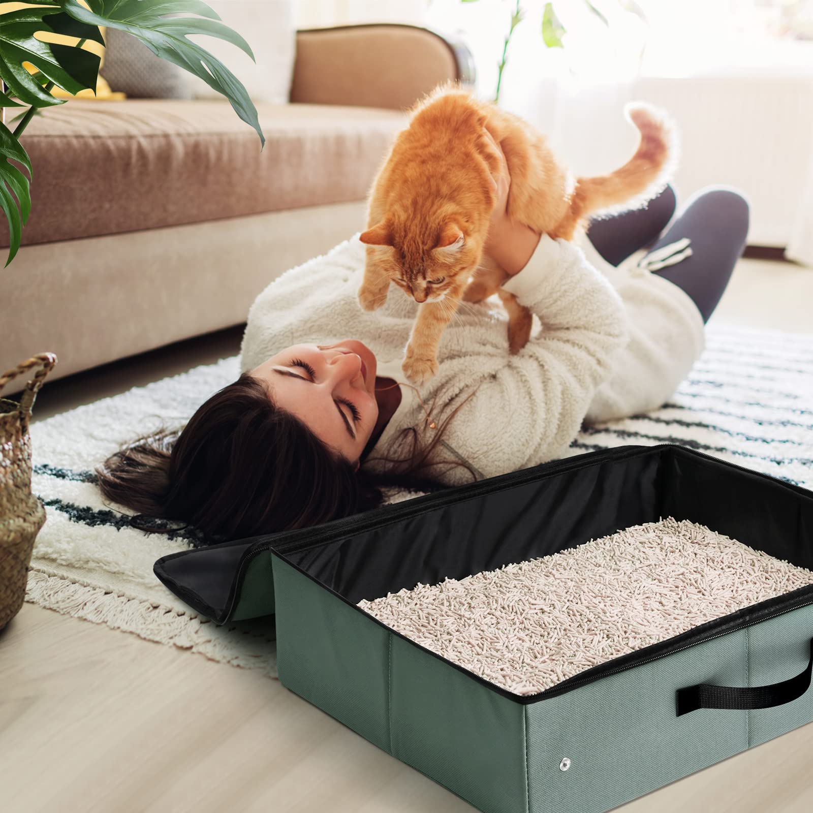 Idéal pour voyages en voiture et séjours à l’hôtel avec LIOOPET.