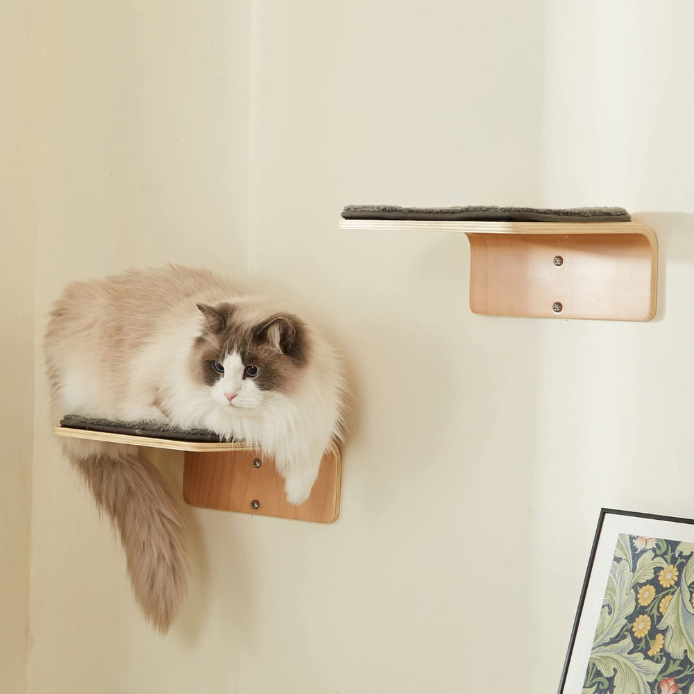 LIORCE dimensions 10x10 chat mural, plateforme idéale pour grimper.