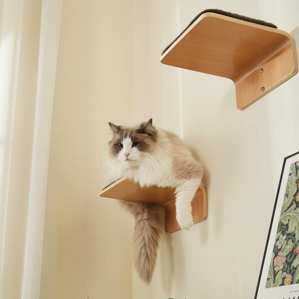 LIORCE kit installation chat mural, fixation rapide et instructions claires.