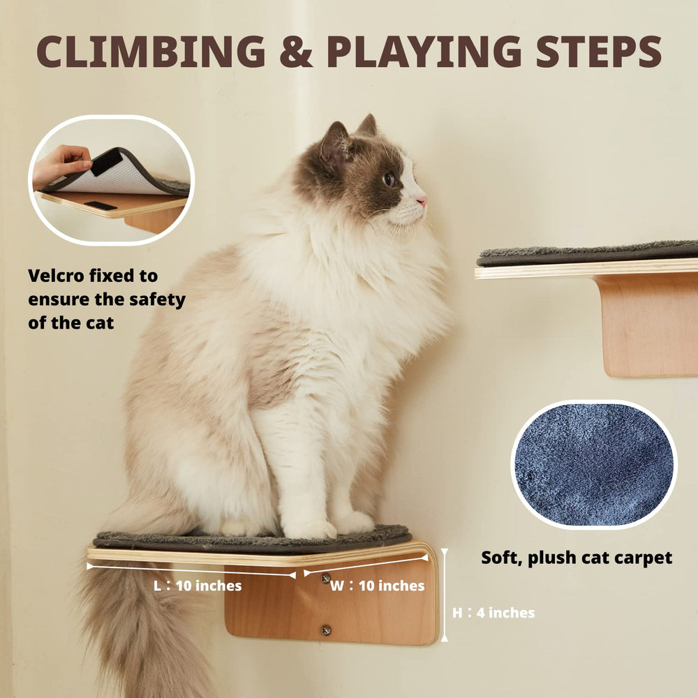 LIORCE tapis griffage chat mural, protégeant les meubles et stimulant le jeu.