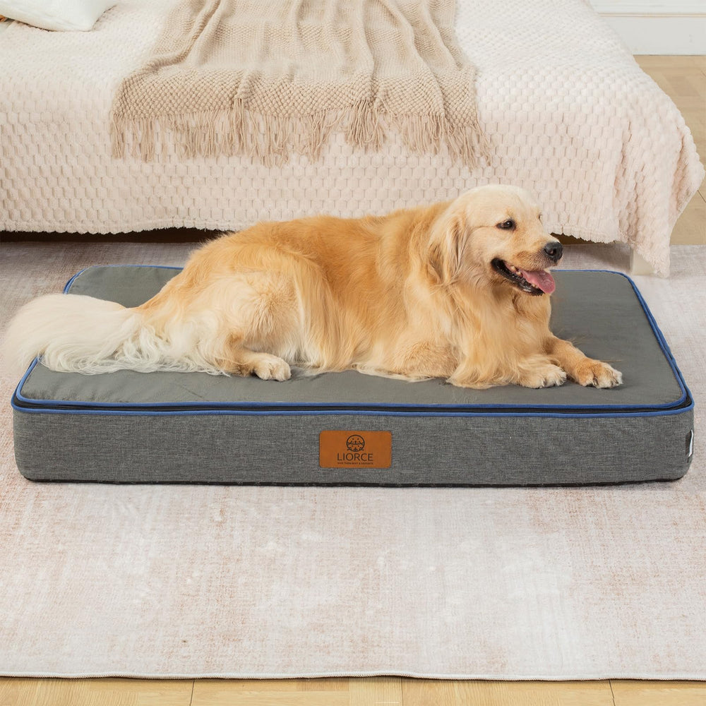 Usage polyvalent LIORCE lit chien salon ou voiture
