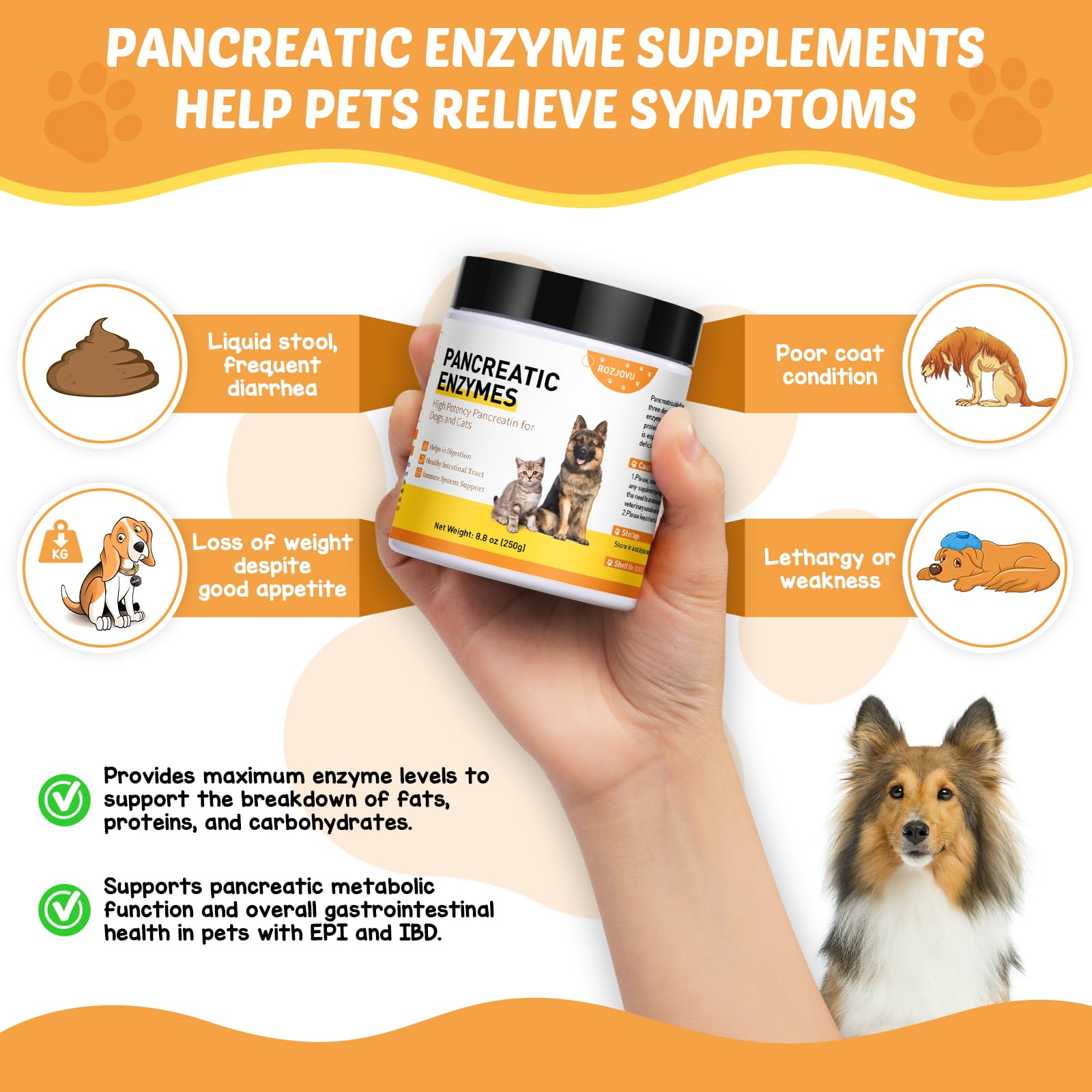 Liovsiso chien digestif heureux — image montrant un animal en forme après utilisation.