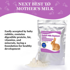 Liovsiso kit nourrissage lapin orphelin, préparation facile et alimentation adaptée