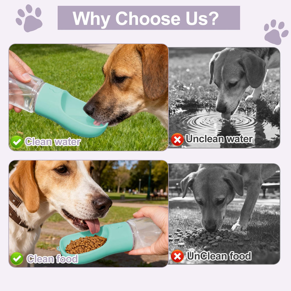 Matériaux sans BPA de la gourde Liphier pour chiens et chats.