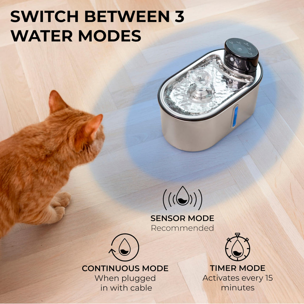 LIPPUP inox, deux flux d'eau pour encourager l'hydratation.