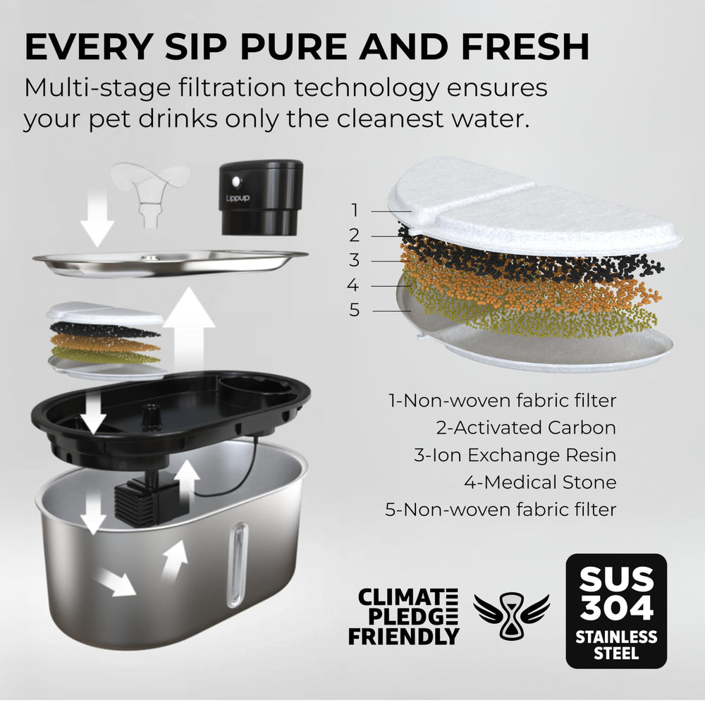 Fontaine LIPPUP inox, fonctionnement silencieux pour chats sensibles.