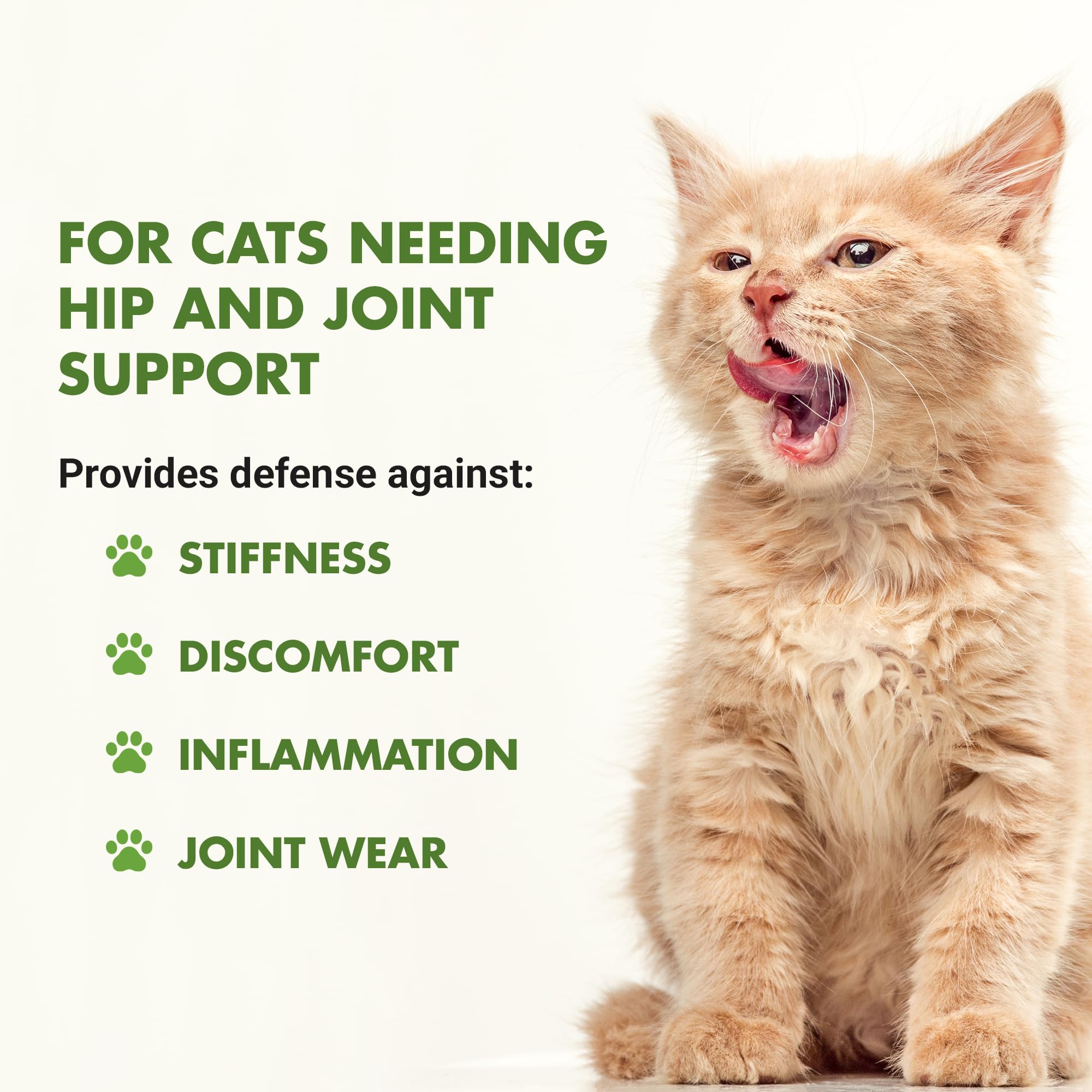 Liquid-VET Feline Hip & Joint chat appréciant la saveur fruits de mer au repas