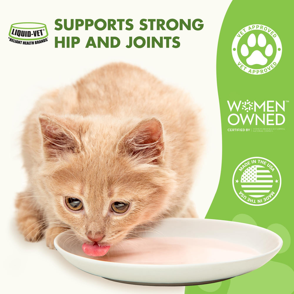 Liquid-VET Feline Hip & Joint étiquette avec glucosamine, MSM et chondroïtine pour le soutien