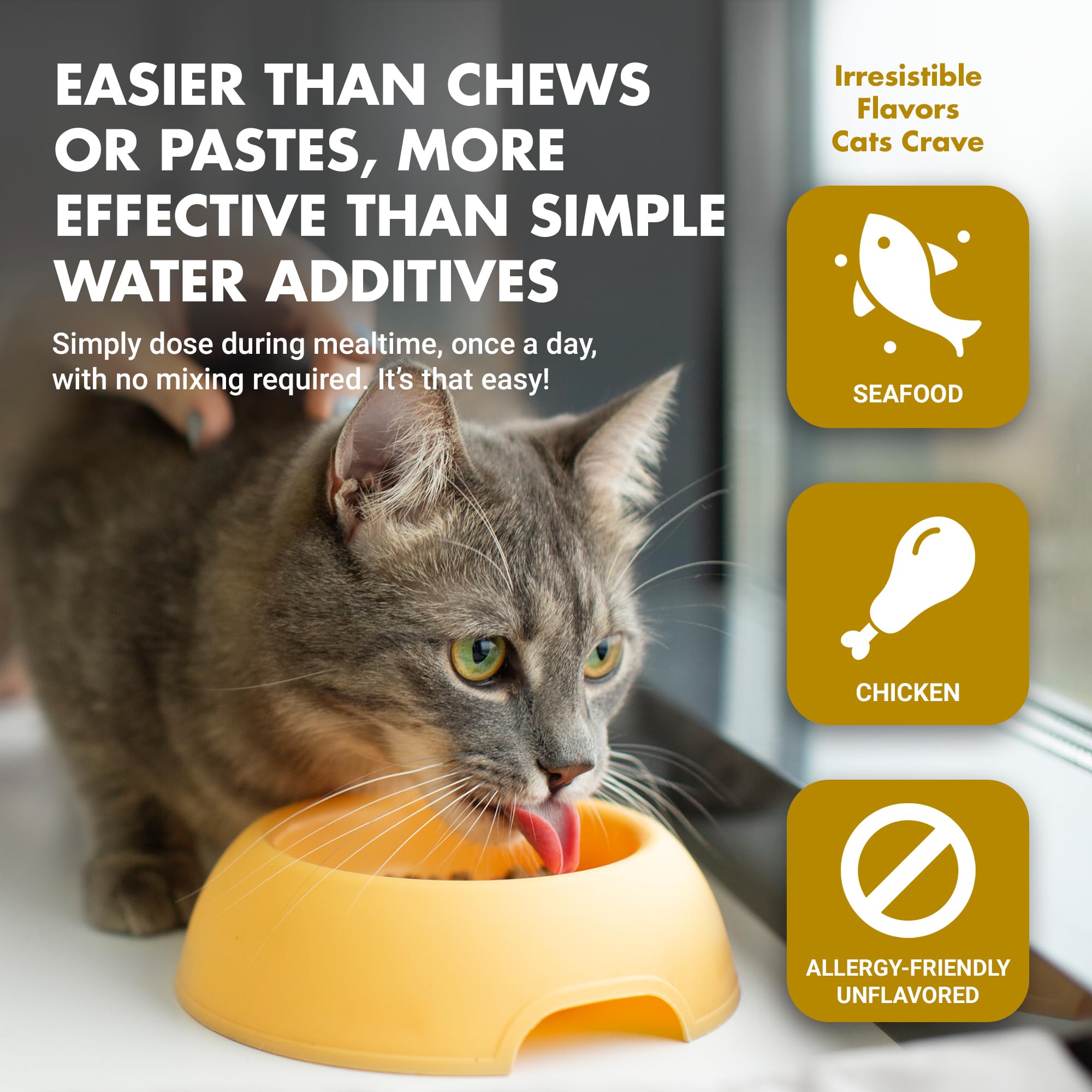 LIQUID-VET formule avancée chat, soutien ciblé pour chats sensibles