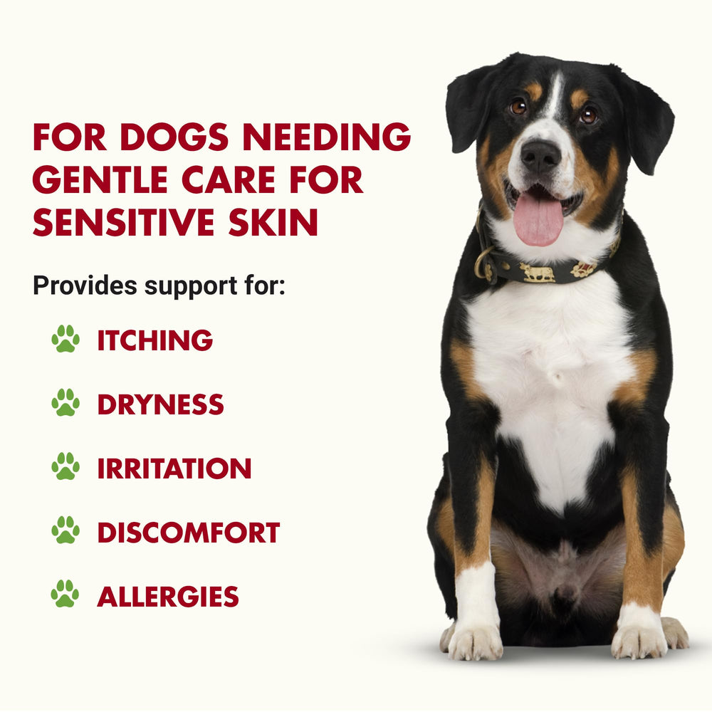 LIQUID-VET K9 Itch & Allergy Advanced Formula – goutte-dose, dosage facile et rapide