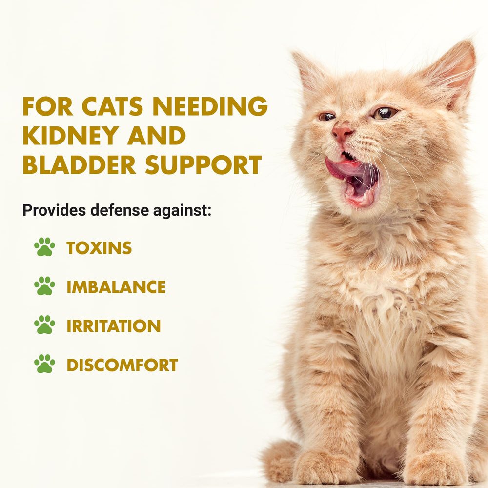 LIQUID-VET saveur fruits de mer pour chat, accepte facilement