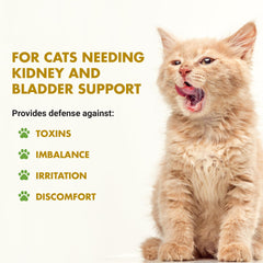 LIQUID-VET saveur fruits de mer pour chat, accepte facilement