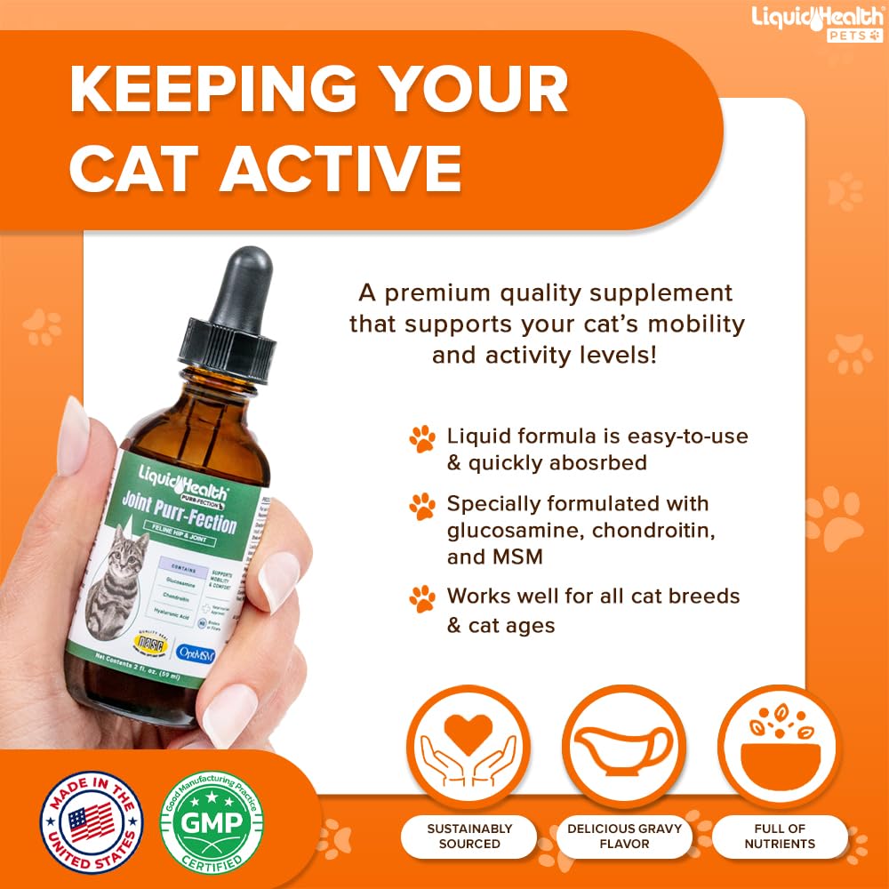 LIQUIDHEALTH chat confort articulations et hanches – mobilité et confort du chat.