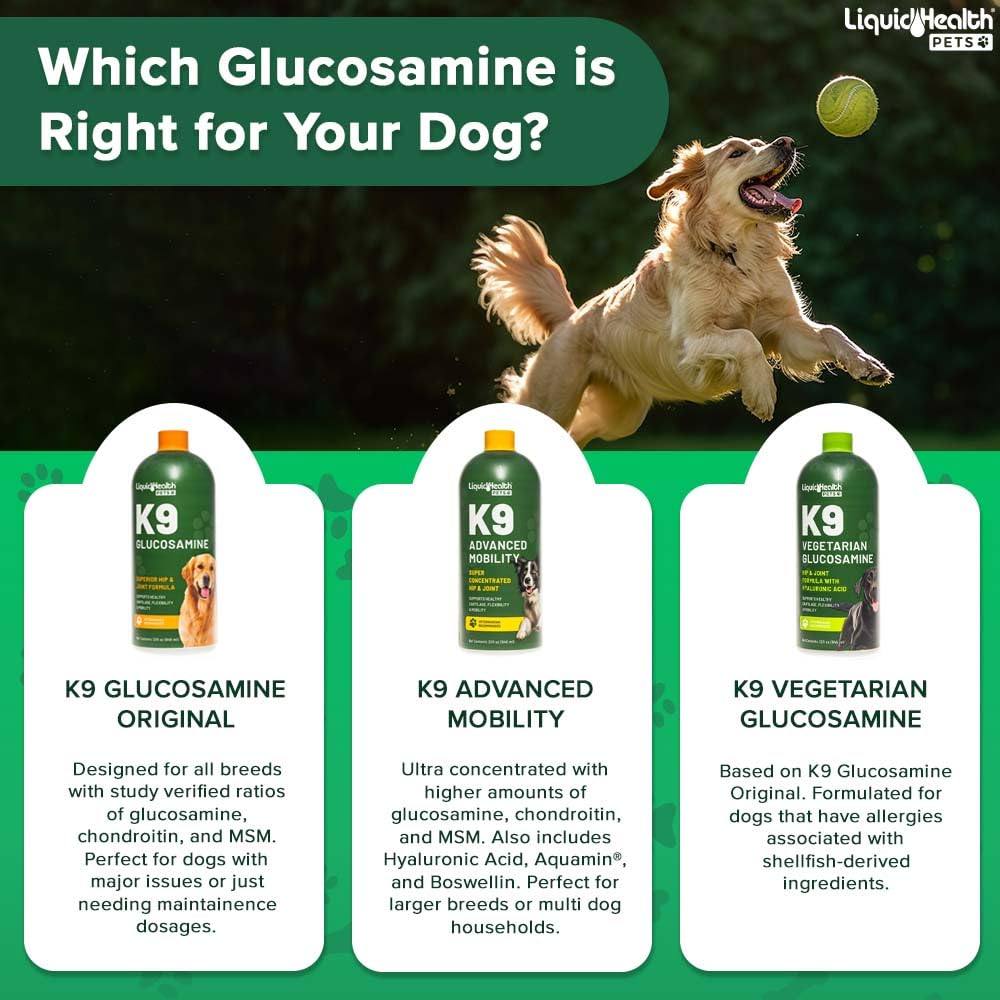 LIQUIDHEALTH: dosage facile à mélanger avec les repas du chien.
