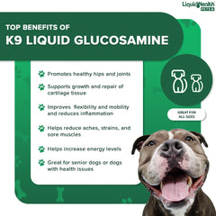 LIQUIDHEALTH K9 acide hyaluronique – bouteille avec étiquette et lubrification potentielle.