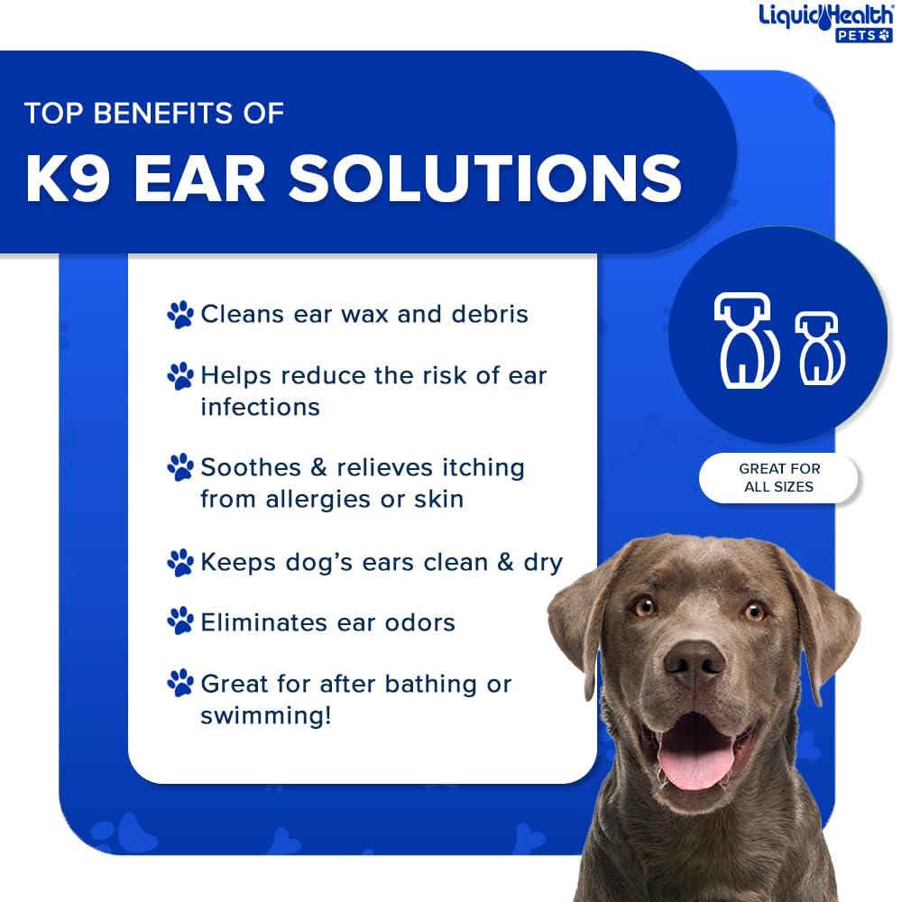 LIQUIDHEALTH K9 – Oreilles sèches après baignade et jeu aquatique.