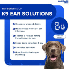 LIQUIDHEALTH K9 – Oreilles sèches après baignade et jeu aquatique.