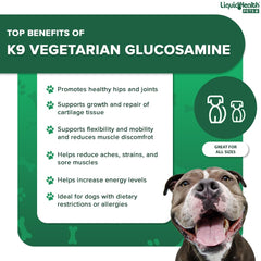 LIQUIDHEALTH Pets K9 Glucosamine oméga3 et antioxydants pour chiens.