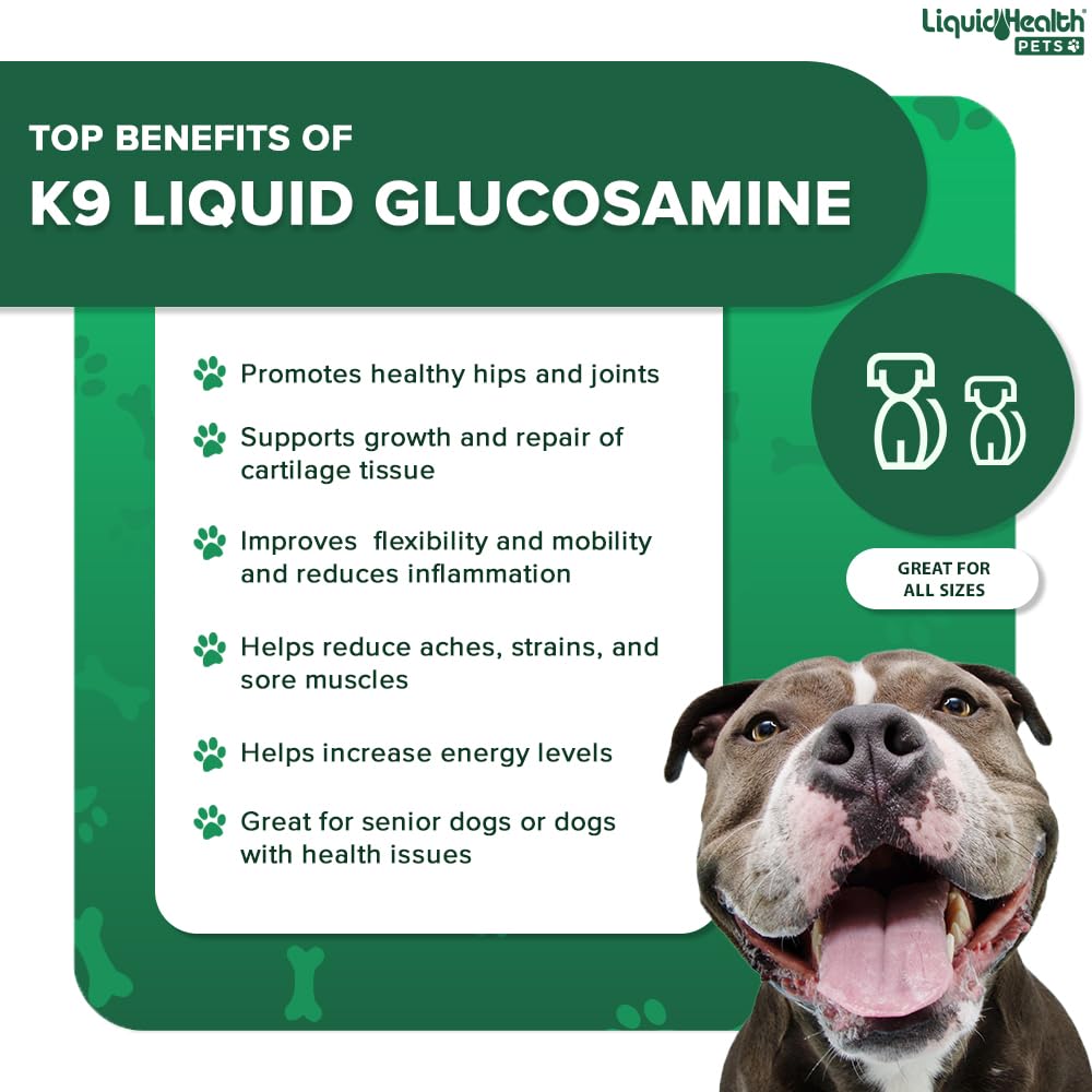 LIQUIDHEALTH: chien actif bénéficiant d’un soutien des hanches et des articulations.