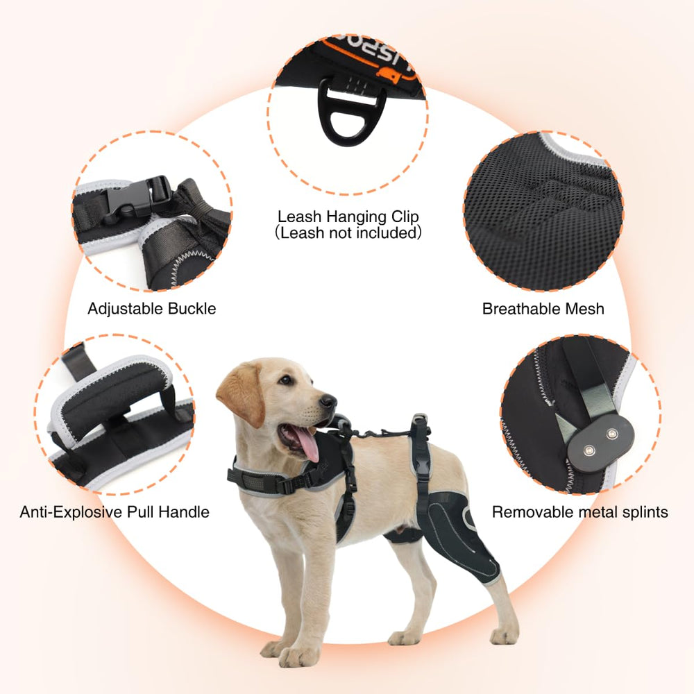 LISPOO Attelle Genou Chien – genou arrière droit, ajustement précis et confortable.