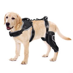 LISPOO Attelle Genou Chien – genou arrière gauche, soutien stable.