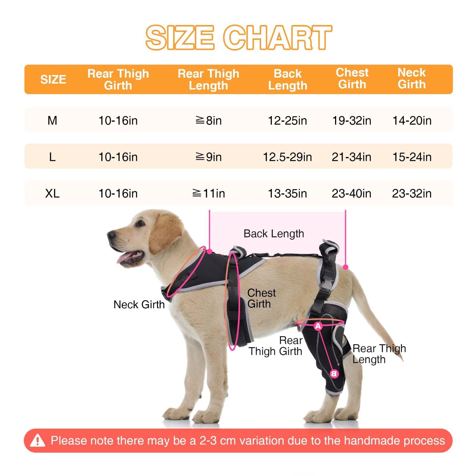LISPOO Attelle Genou Chien – charnière extérieure pour flexibilité et soutien.