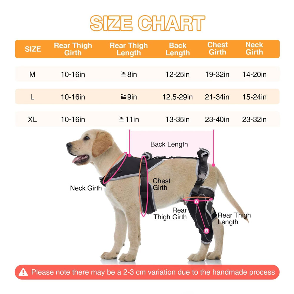 LISPOO Attelle Genou Chien – charnière extérieure pour flexibilité et soutien.