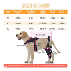 LISPOO Attelle Genou Chien – charnière extérieure pour flexibilité et soutien.