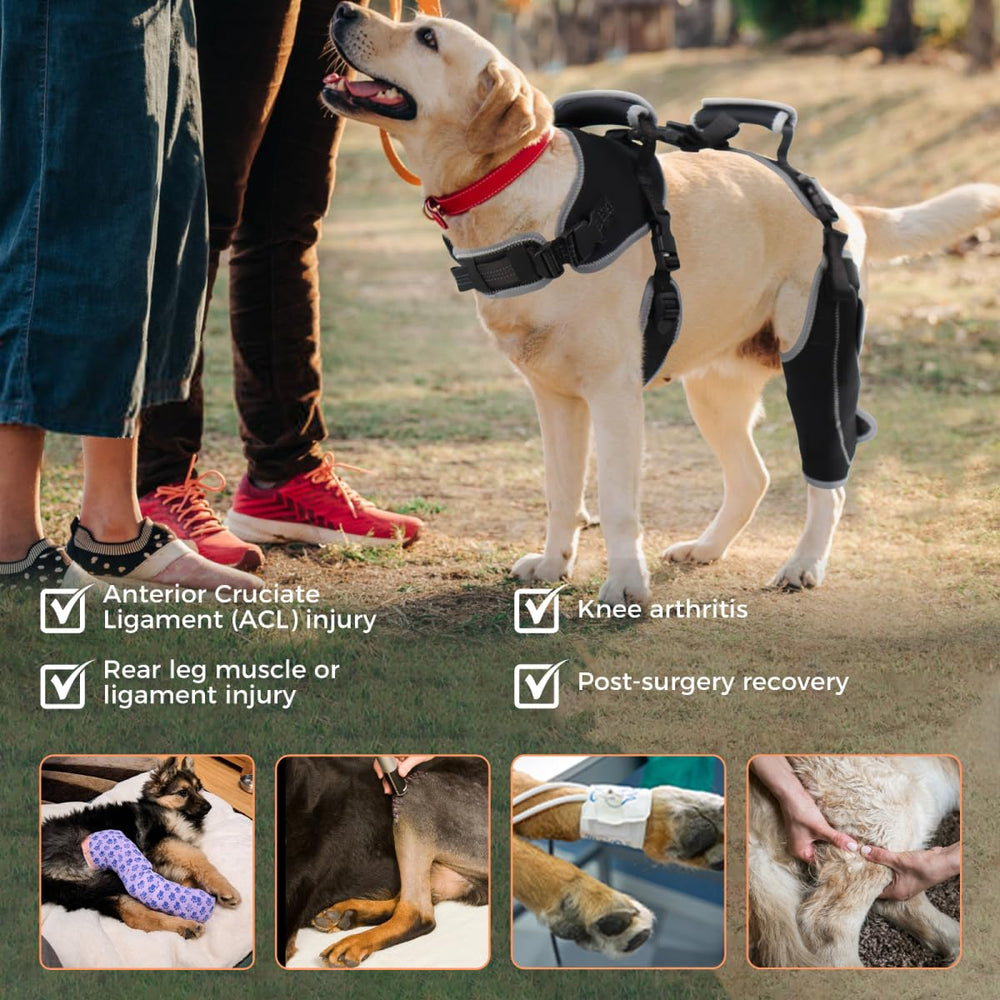 LISPOO Attelle Genou Chien – tissu doux et léger, agréable peau.