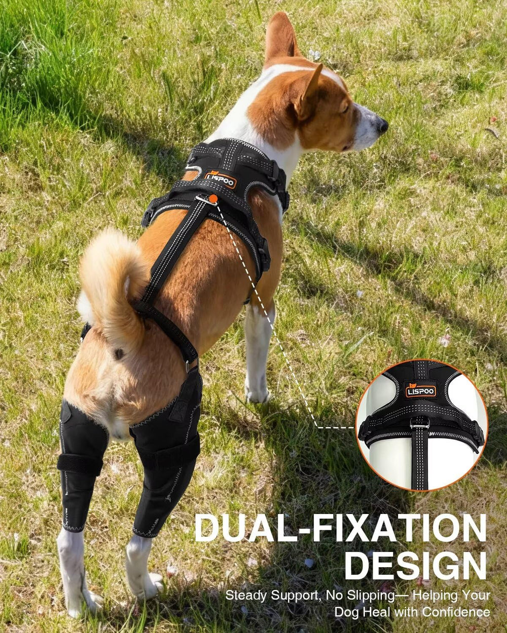 LISPOO genou-chien avec fermeture velcro rapide