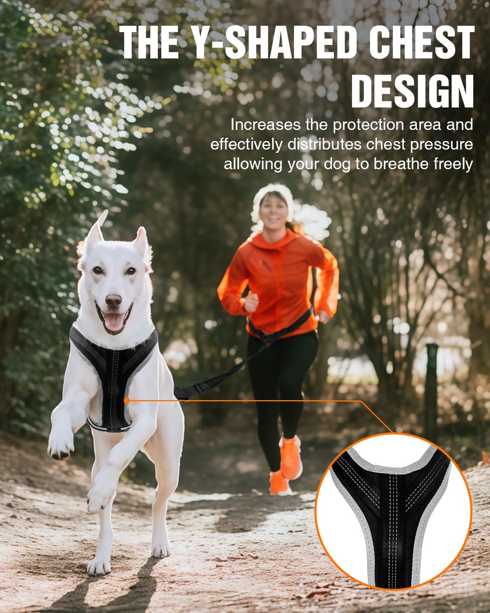 Harnais LISPOO design ergonomique – ajustement facile et sécurisant.