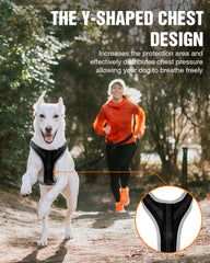 Harnais LISPOO design ergonomique – ajustement facile et sécurisant.