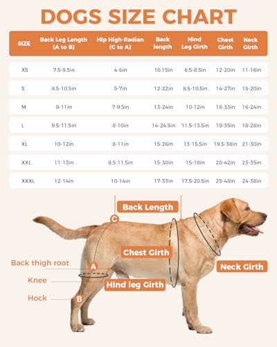 LISPOO soutien articulation genou du chien pour mouvement sûr