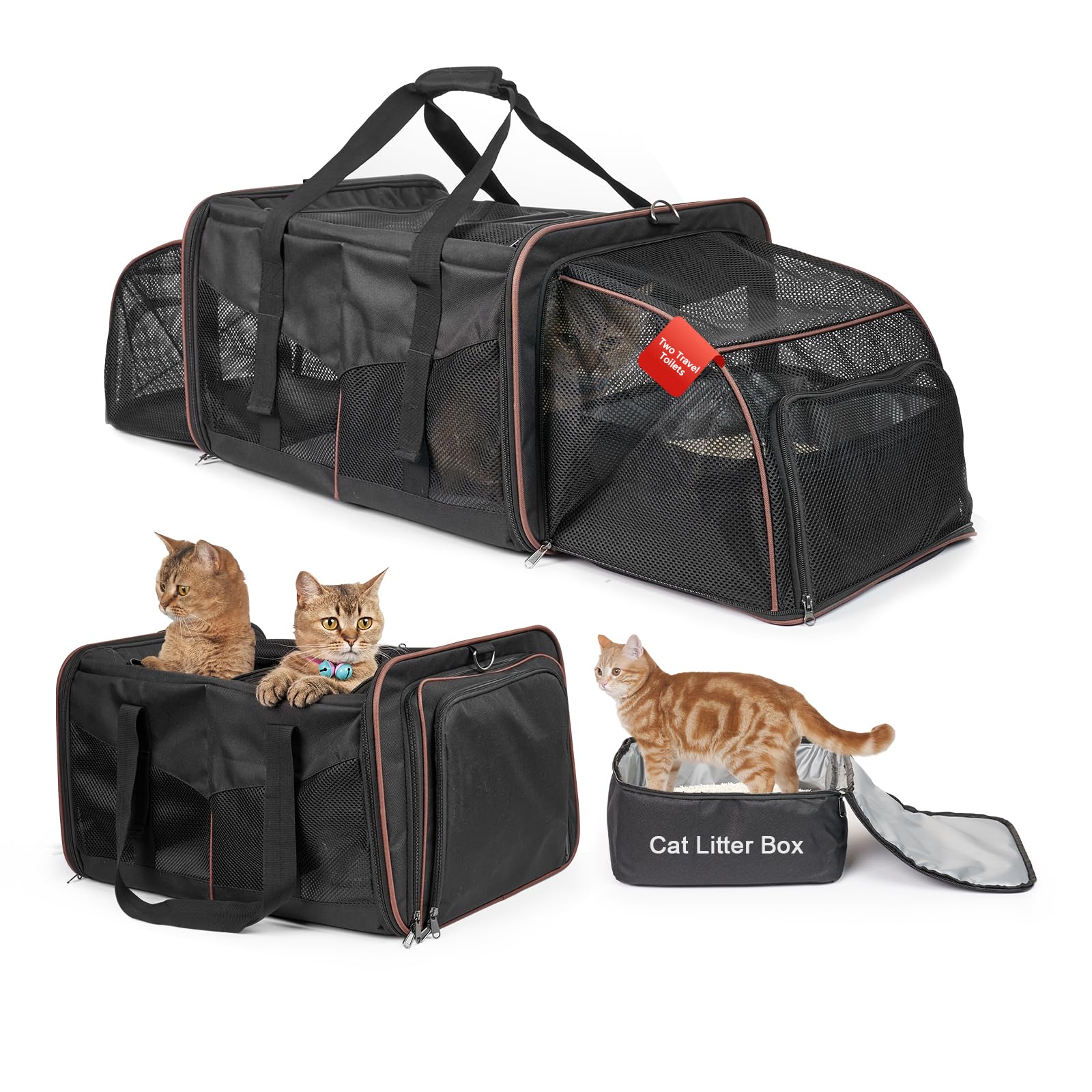 LitaiL transporteur expandable pour chats avec diviseur intérieur pour deux compagnons.
