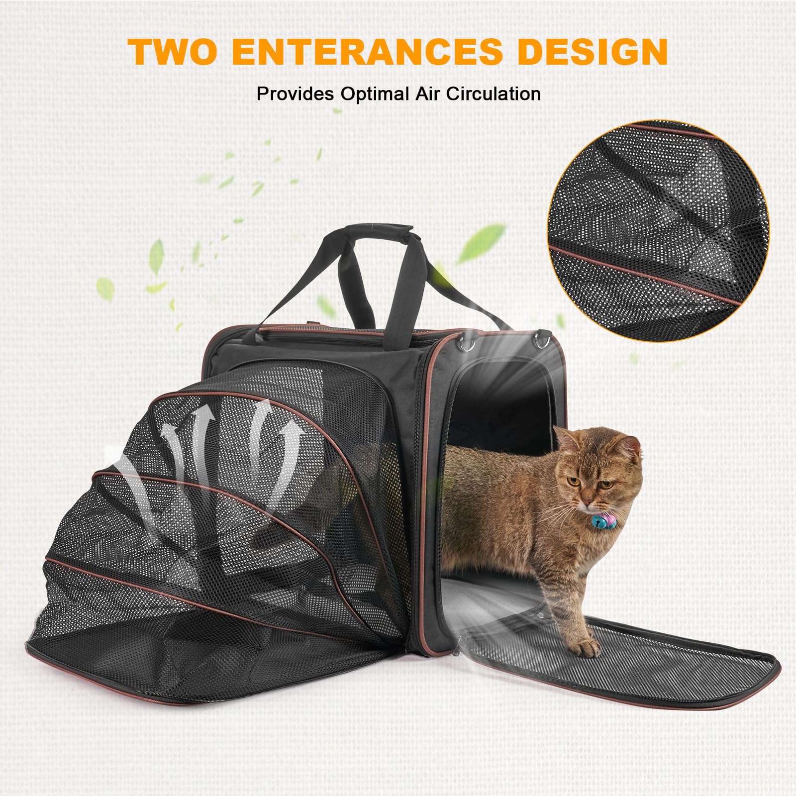LitaiL porte-chat dimensions-44x33x41-cm, ajuste l'espace.