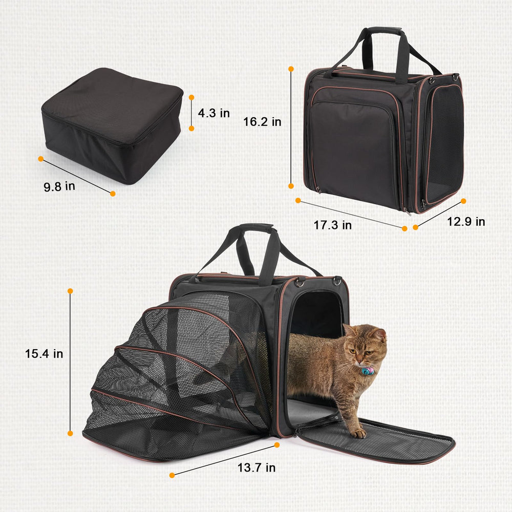LitaiL porte-chat ouverture-superieure, accès rapide en voiture.