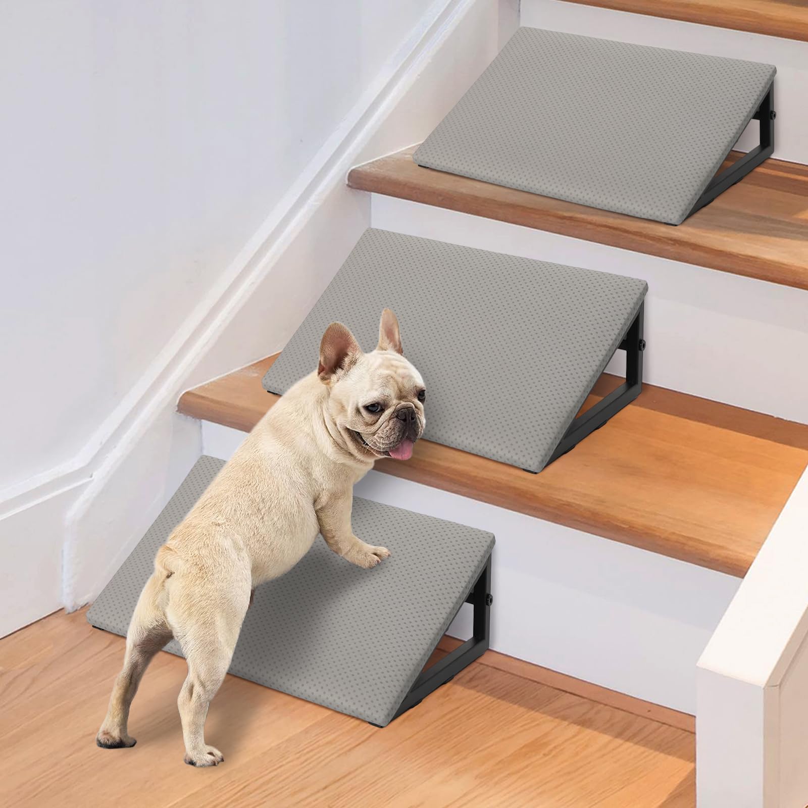LitaiL rampe pour chien anti-derapant avec cadre métal pour sécurité