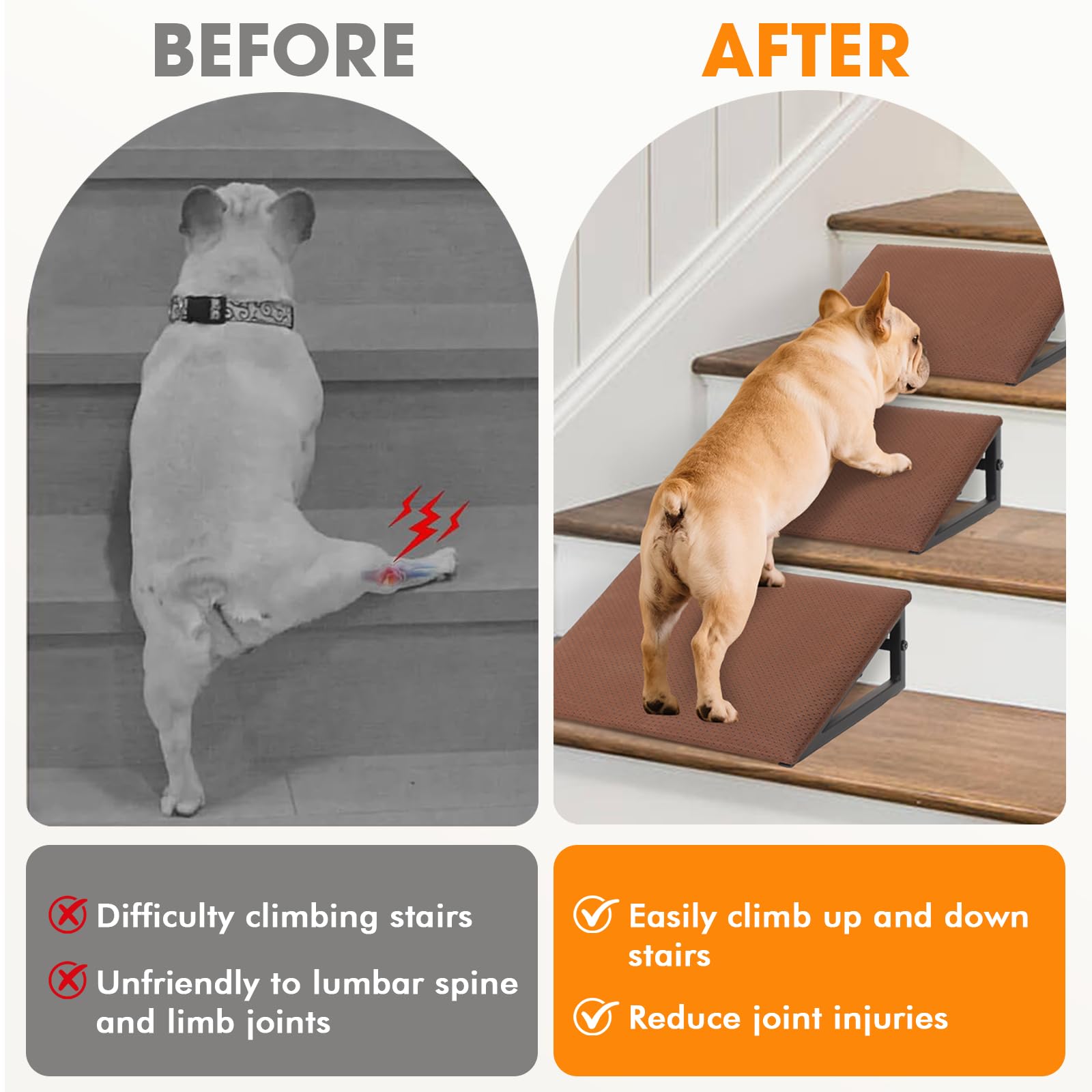 LitaiL rampes chien, patins anti-dérapants pour prévenir les glissements.