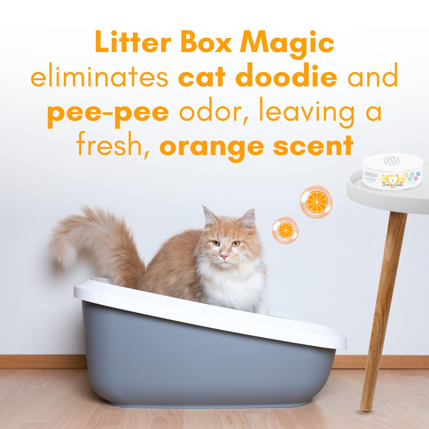 Litter Box Magic: gel absorbant les odeurs dans le bac à litière.