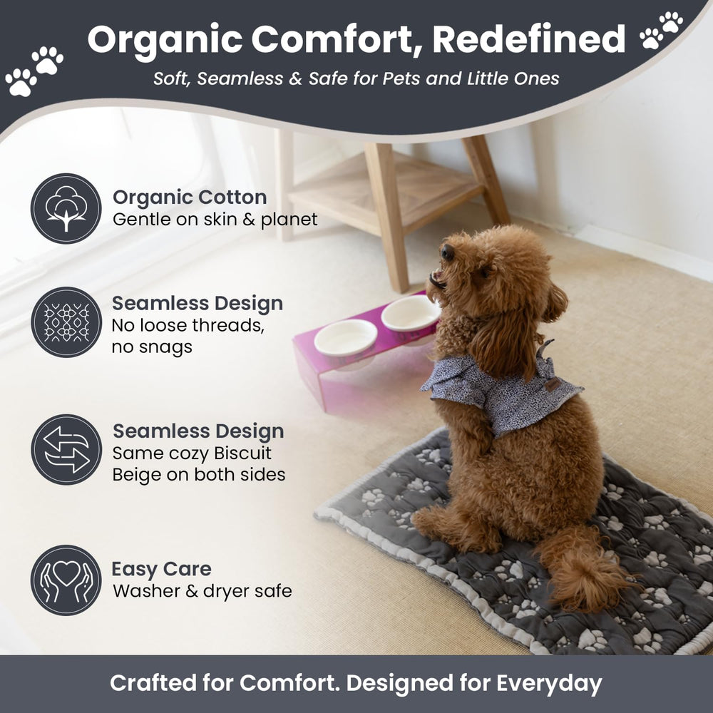 Little Dedi PetMat coton biologique doux, parfait pour chats et petits chiens.
