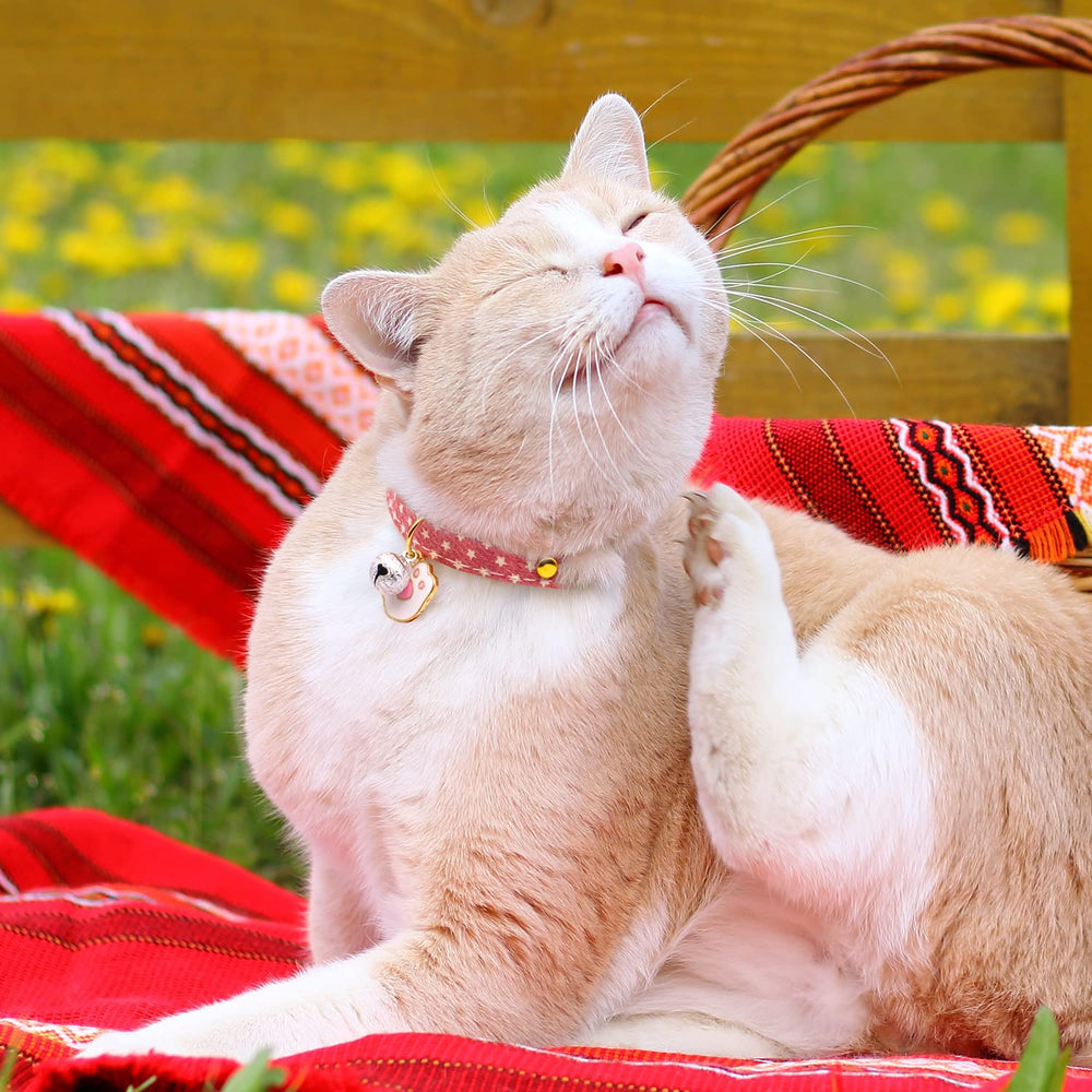 Collier Liugjiau fait-main avec amour, design soigné pour chats.