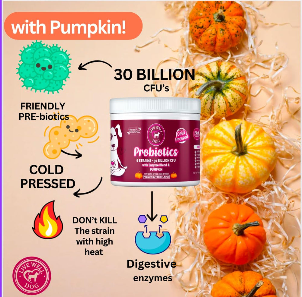 Live Well Dog Probiotic Chews, ingrédients naturels sans additifs artificiels.