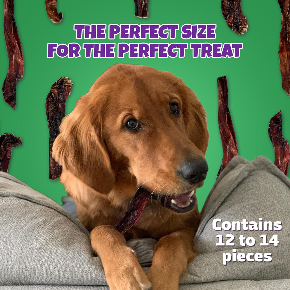 Lively Tails en action, mastication prolongée pour petits chiens.